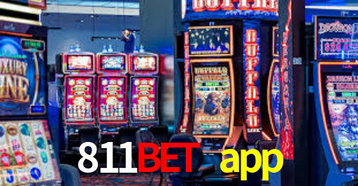 Interface Premium 811bet app